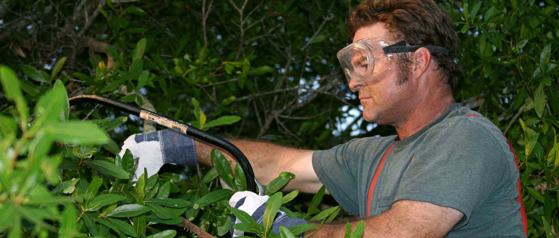 garden clearance EN6