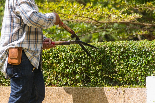 Garden Maintenance Potters Bar, Cuffley, Northaw, EN6
