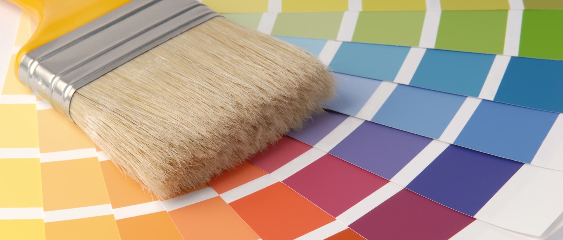 Painter EN6